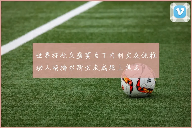 世界杯社交盛宴马丁内利女友优雅动人胡梅尔斯女友成场上焦点