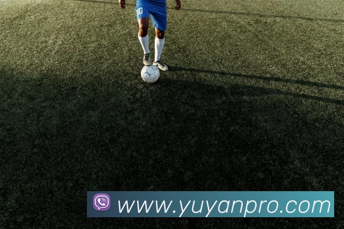 雨燕直播全站App